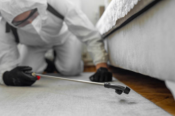 Professional Termite Control technician working in Gilbertsville, PA